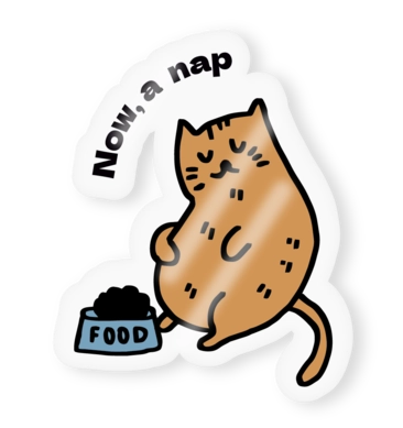 Stickers Transparentes